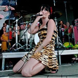 Dolce and Gabbana corset tiger dress